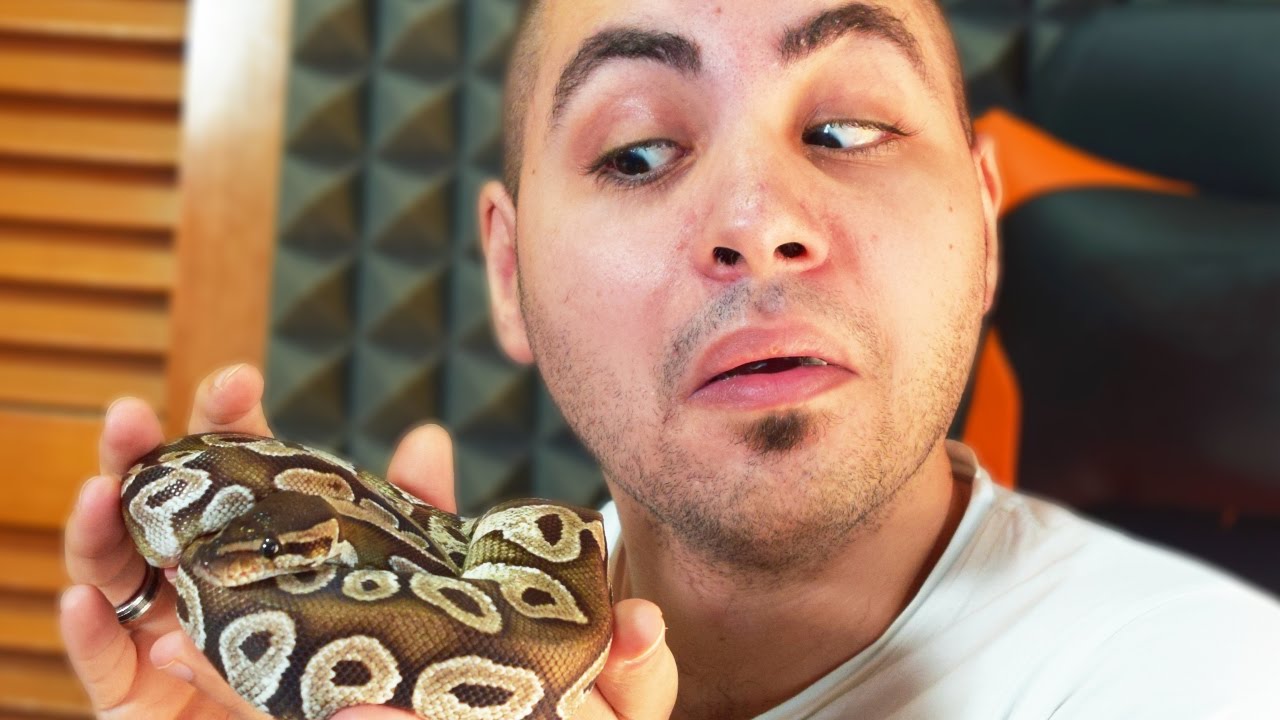 HO TROVATO UN SERPENTE IN CASA!!