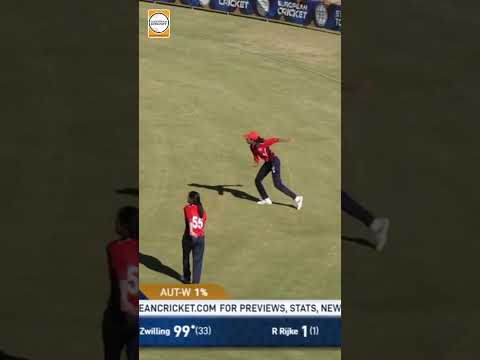 Die Cricket-Wettmärkte bei Iris im Überblick