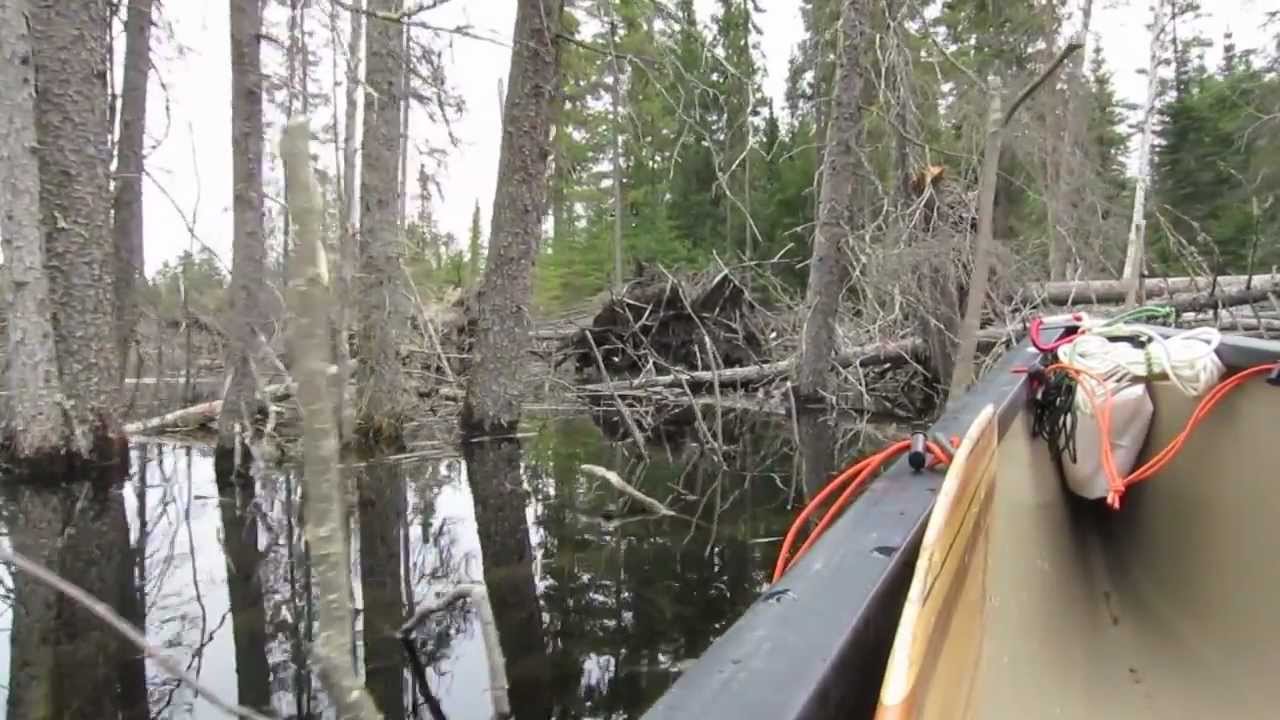 BWCA Little Indian Sioux River North Canoe Trip Loop, Day 2 YouTube