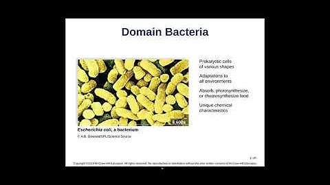 Chapter 1 Biology 101 Lecture