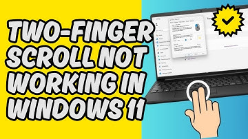 [Easy Fix] Two-Finger Scroll Not Working in Windows 11