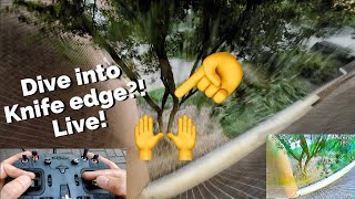 Dive To Knife Edge Live Power Of Peer Pressure