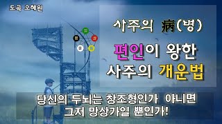 #4 왕초보 사주 보는법, 편인태왕의 특징과 개운법. 인생을 바꾸는법.