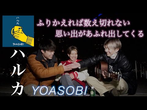 歌えることがこんなにも幸せなんだよ。「ハルカ - YOASOBI」
