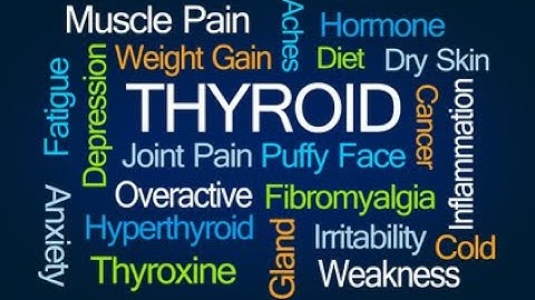 Low Thyroid- How Low T3 Causes Weight Gain, Fatigue and Brain Fog-Dr Hagmeyer Video
