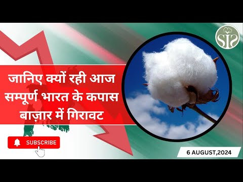 आज सम्पूर्ण भारत के कपास बाजार में गिरावट😱 aaj ka kapas ka bajar bhav All India cotton market #kapas