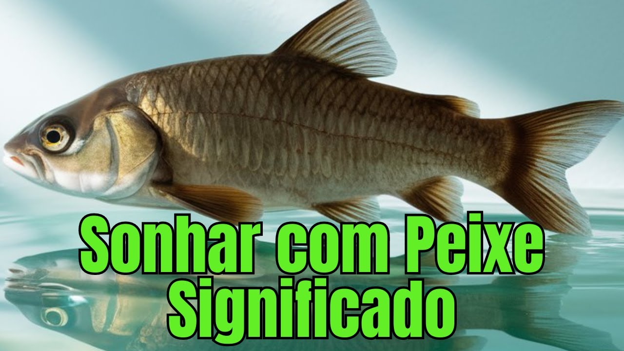 Sonhar Com Peixe Significado O Que Este Sonho Pode Estar Tentando Te ...