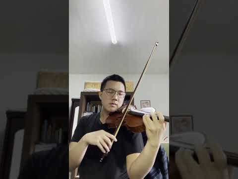 王力宏 Leehom Wang - 落葉歸根 🍂 小提琴 violin cover
