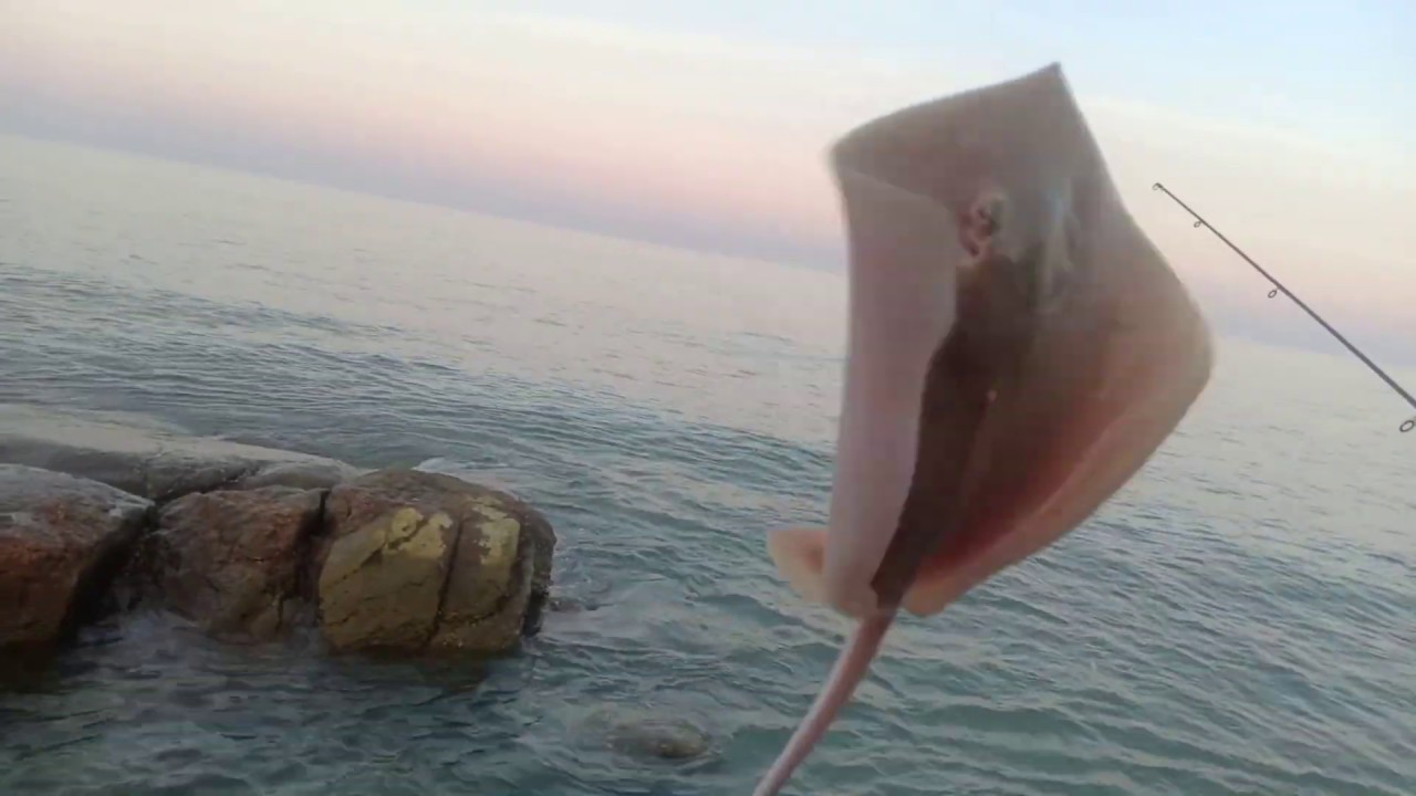 ตกปลาชายฝั่งทะเล  สนุกๆ  Saen Fishing