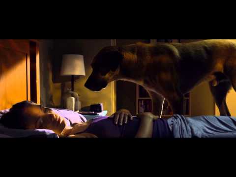 the-lazarus-effect--trailer
