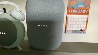 Google Nest Audio vs Google Home Mini vs Amazon Echo Dot
