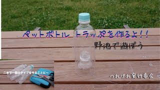 ペットボトル トラップを作るよ！！  #魚捕り #ペットボトルトラップ #野池 #クチボソ #池 #エビ