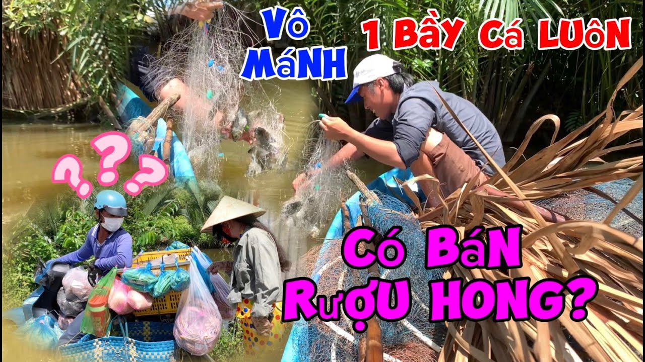 Nay 2 vợ chồng Toản vô mánh quăng mẽ lưới dính cả 1 bầy cá và bữa cơm chiều ngon không tưởng
