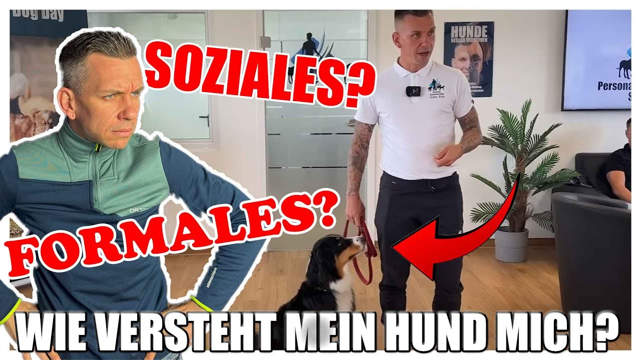 FORMALES UND SOZIALES? DAS MUSST DU WISSEN FÜR DEINEN HUND!