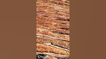 khô rắn hổ hành ngon nhất Việt Nam