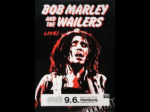 Bob Marley And The Wailers ピクチャーディスク BOB MARLEY And The WAILERS Soul Revolution Part II DUB Album