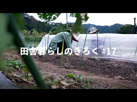 【#田舎暮らしのきろく ⑰】冬野菜植え/今年最後の川遊び/栗ご飯で秋を感じる