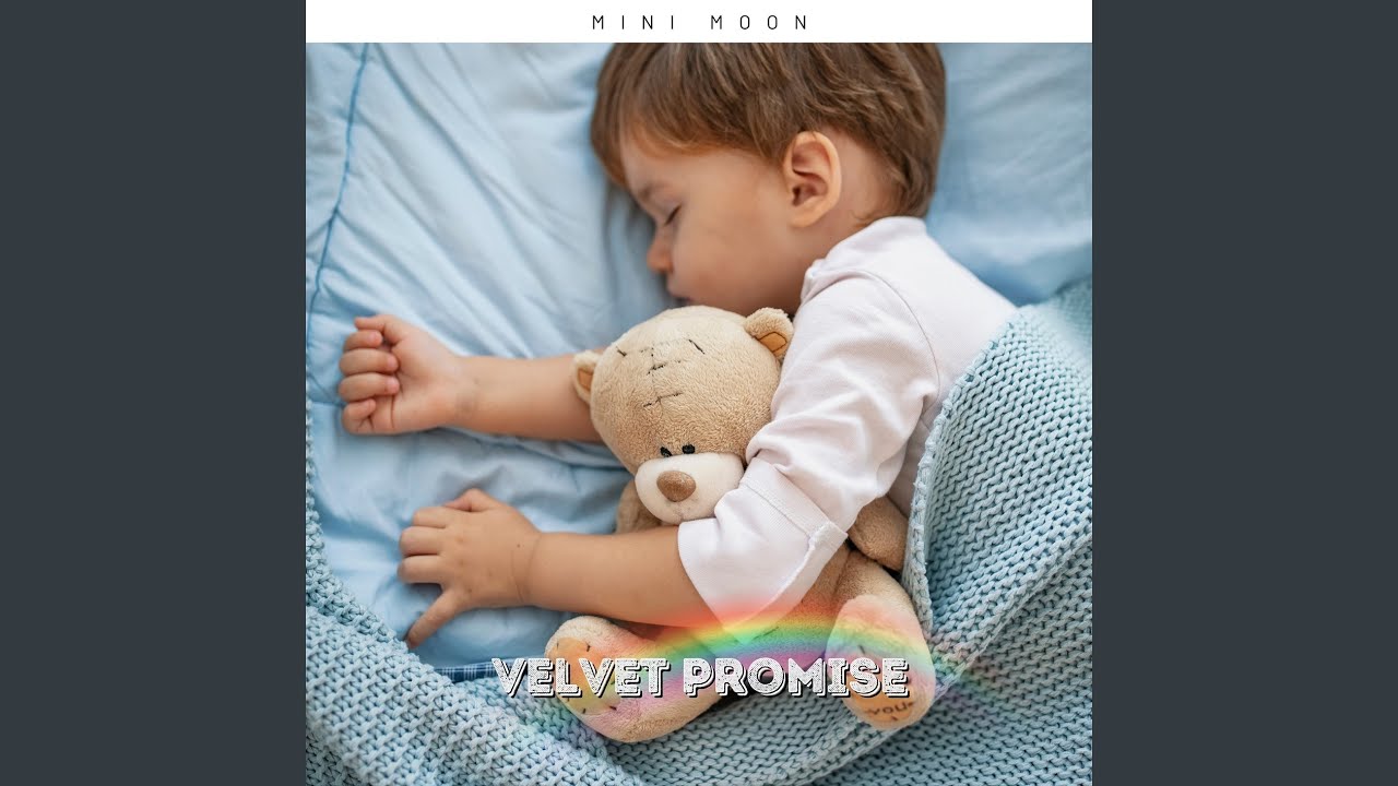 Seashell Sidewalk Saunter