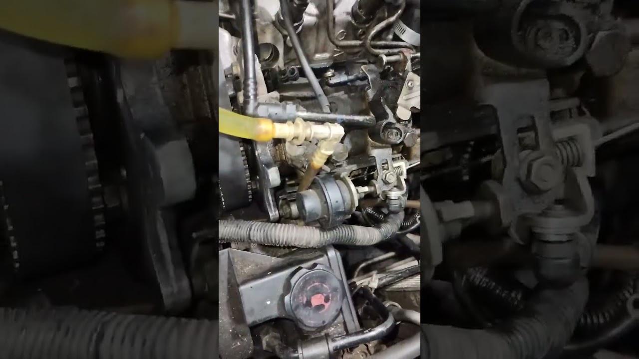 peugeot  206 1.9 diésel falta de precion de bomba inyectora!!!