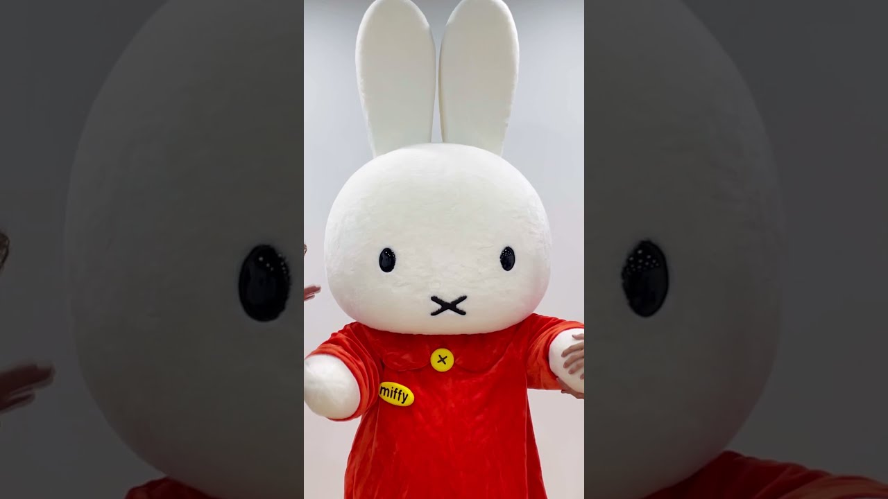TO1 No More X With Miffy DONGGEON CHAN TO1XChallenge 
