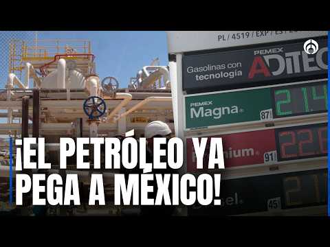 "We are in the worst of all worlds": Maricarmen Cortés warns of pressure from rising oil prices