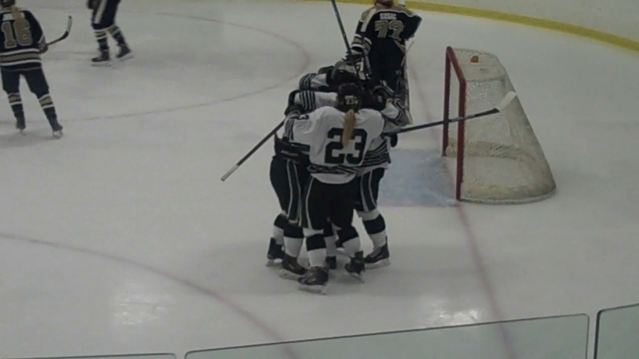 Nichols College women's ice hockey vs SUNY Canton 11317 YouTube