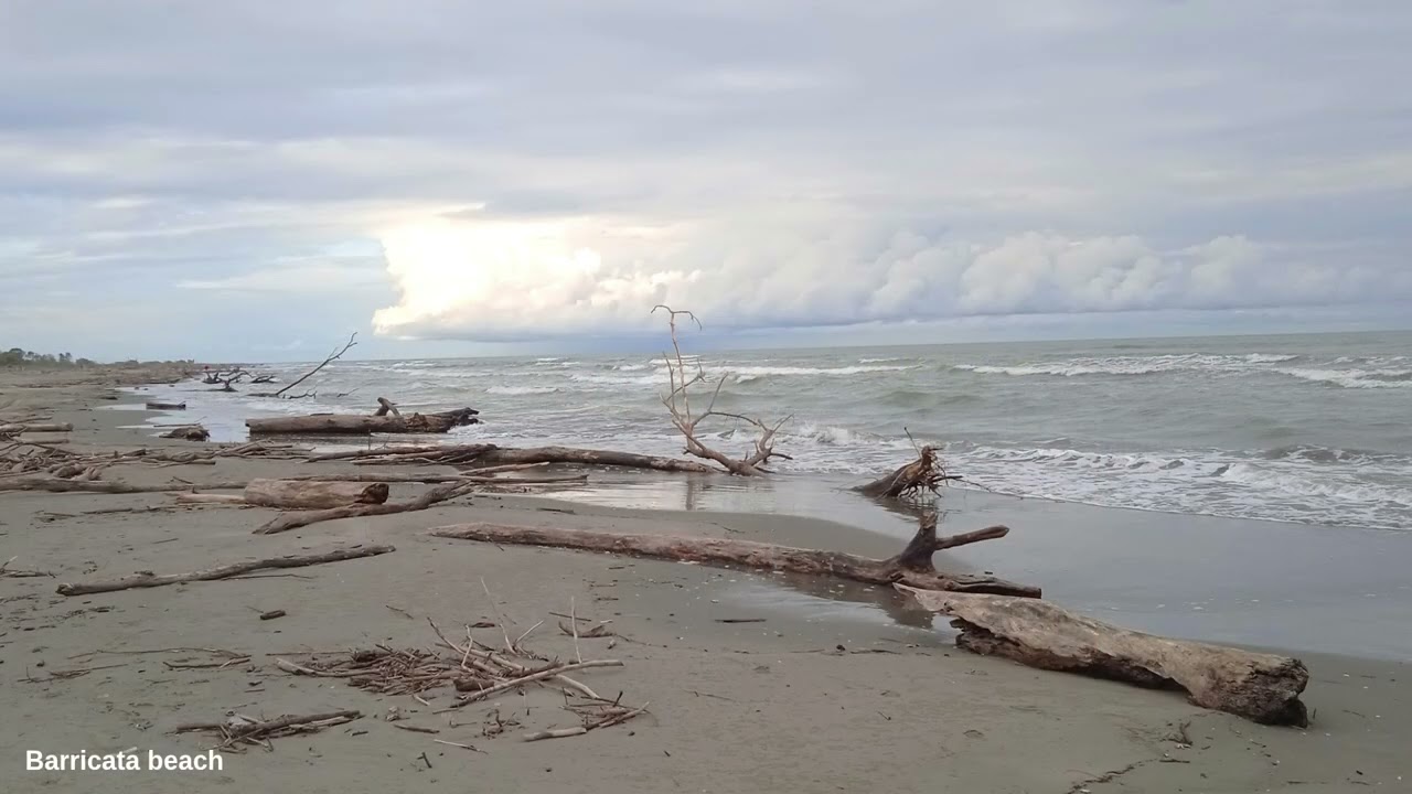 Veneto river Po delta - S.3 Ep. 1 - Bonelli, Po di Tolle mouth and beaches.