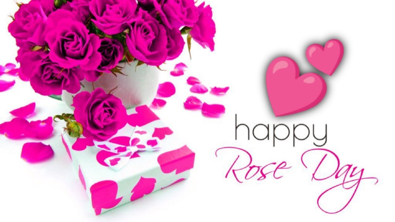 Rose Day Poetry Rose Day Whatsapp Status Best Love Poetry 2022