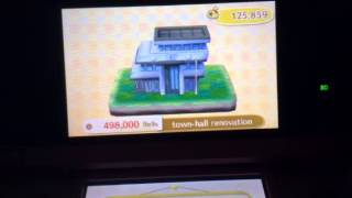 Animal Crossing New Leaf Town Renovation Servey