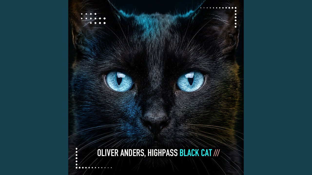 Watch Black Cat on YouTube Watch Black Cat on YouTube
