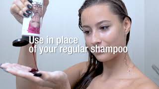 Download Lagu Hot Pink Shampoo MP3