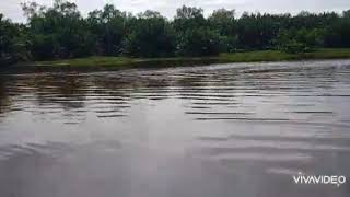 pemandangan pulau yang indah,desa tanjung saleh.