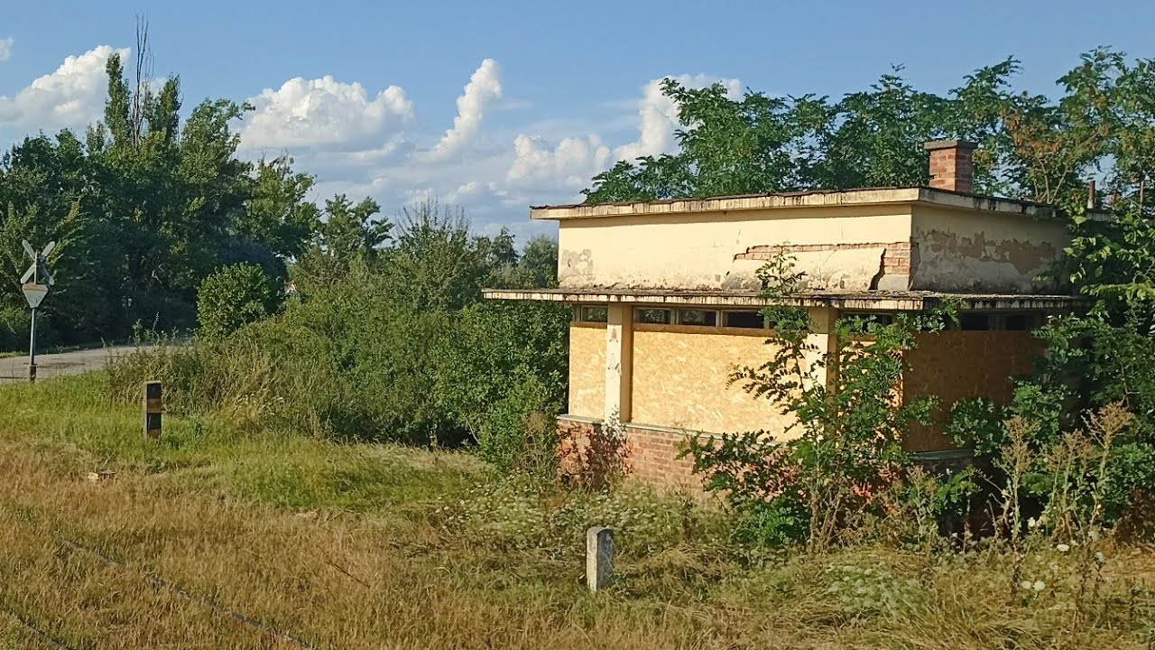 TISZAUGI TALPFAMENET *🛤️*📹*🏡* Állomásvégi körbetekintő
