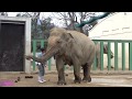 2018.12.21 ズゼトレーニング