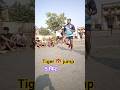 #viral #video #tiger jump बिहार पुलिस 19838post jindgi ki लड़ाई अभी बाकी है