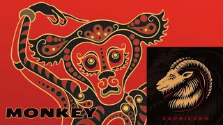 CAPRICORN - MONKEY