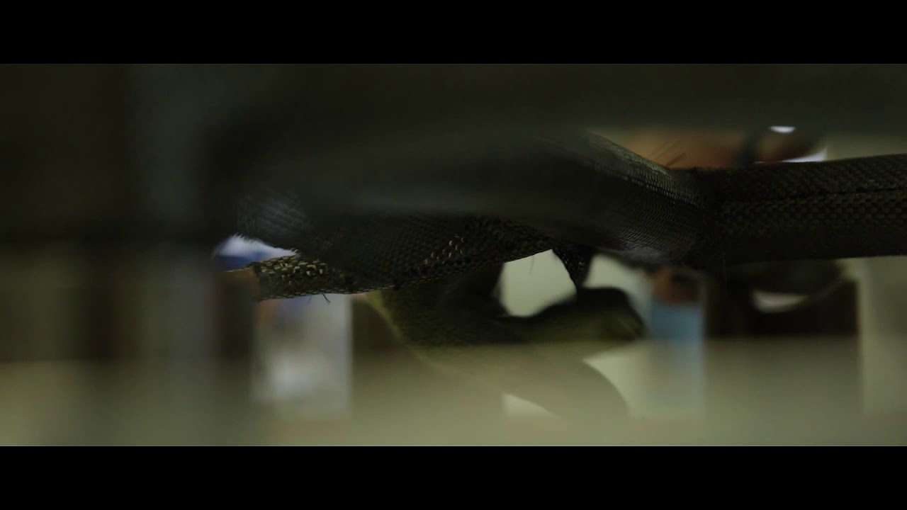 TIME - Habillage cycles lyrics