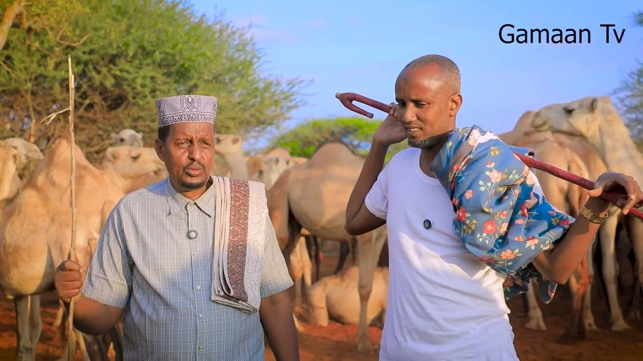 Geel iyo  dollar waa barnaamij xiisa leh