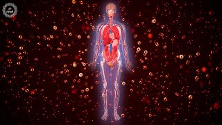 Unclog Your Arteries Veins & Blood Vessels | Fuel All Your Body Functions | Boost Blood Oxygen Level