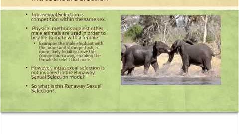 Runaway sexual selection