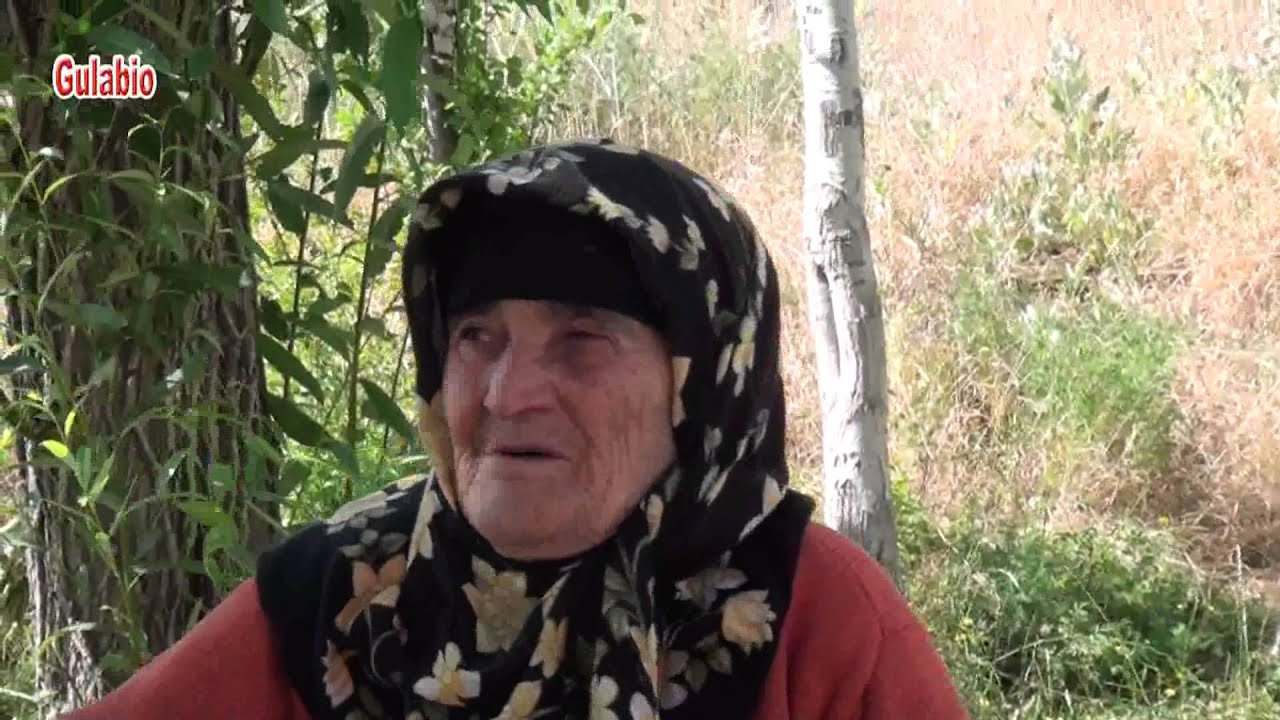 Sivas Zara Gülaplar