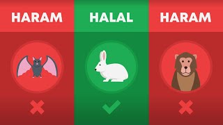 Halal and Haram Animals in Islam