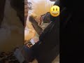GUAU 😲 Ahora soy un niño grande 🐶 Videos de Perros Chistosos