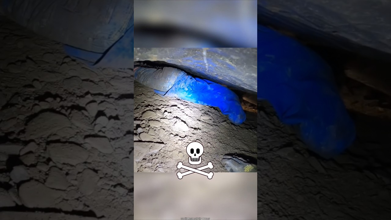 John Edward Jones Incident - Explained😱 