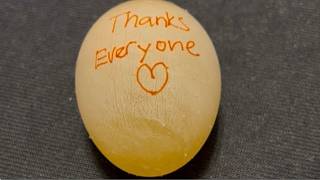 Raw Egg Peeling #shorts #trending #viral #egg #peeling