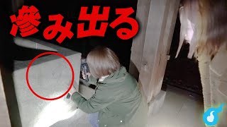 【心霊】強い念が滲み出る香川乃木神社で起こる怪奇現象の連続