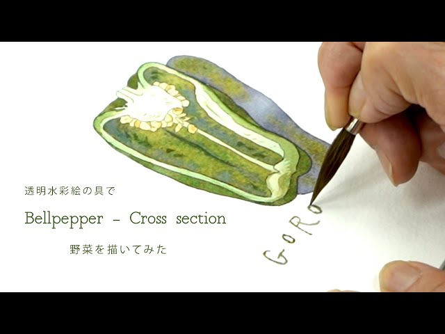 Bellpepper - Cross section 透明水彩 - YouTube