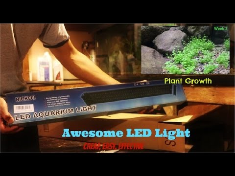 awesome aquarium light plant