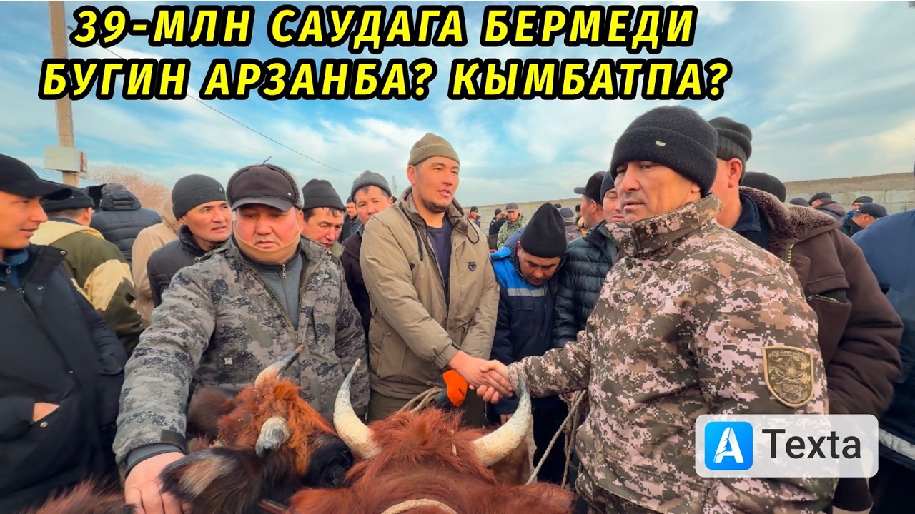 18-ФЕВРАЛЬ/2026/КАРАОЗЕК МАЛ БАЗАРЫ/МАЛ БАЗАР 2026/ДЕМ БЕРМЕС МАЛ БАЗАР