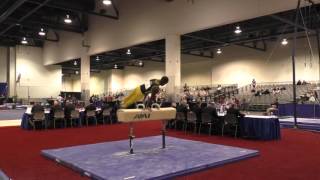 Emyre Cole - Pommel Horse - 2016 Winter Cup Prelims